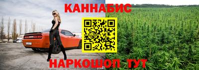 индика Кумертау