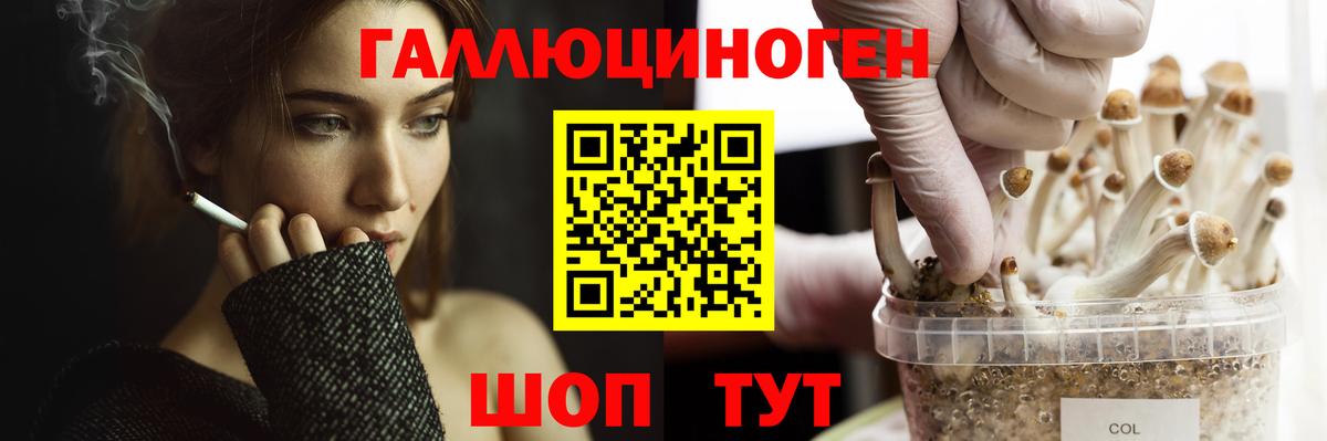 Псилоцибиновые грибы мухоморы Зеленогорск