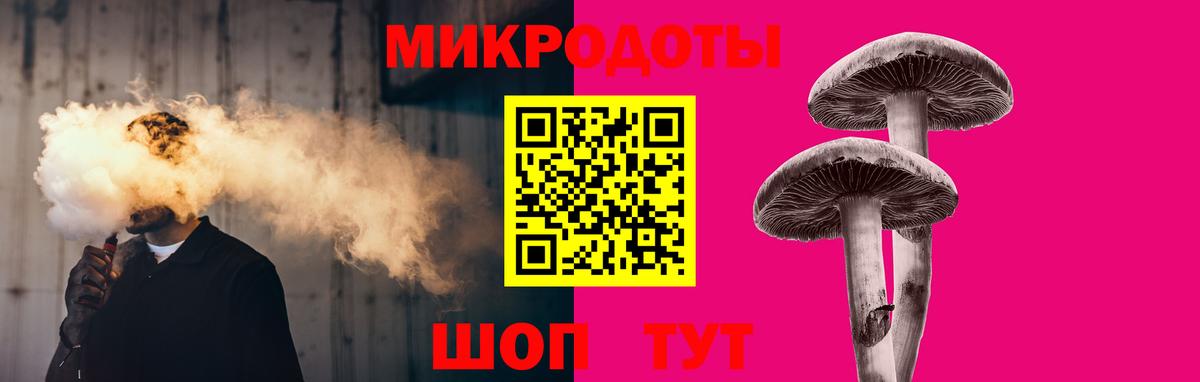 Псилоцибиновые грибы Cubensis  Вход с VPN  Зеленогорск 